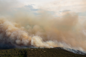 Wildfires